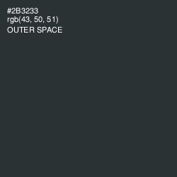 #2B3233 - Outer Space Color Image